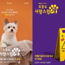 사랑스럽개 이미지