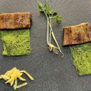 늘채움공간 | 전주 한식 오마카세, 상견례하기 좋은 곳 늘채움 내돈내산 후기 🍽️