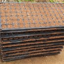 주미 농장 이미지