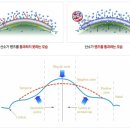 드림콘택트렌즈 이미지