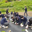 연초중학교 이미지
