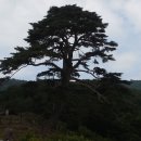 별빛마을민박 이미지