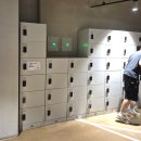 제주애월의꿈 | 제주도 갈만한 곳 9.81파크 제주 핫플레이스 서쪽 애월 놀거리