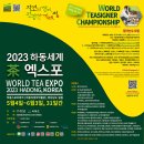 티자인