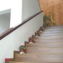 파프리카유치원 이미지