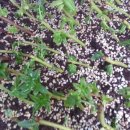 창식농장 이미지