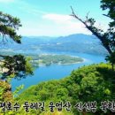 소머리애 이미지
