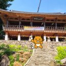 [산청] 지리산 자락의 힐링 코스, 대원사 계곡길 트래킹!!