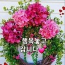 피부가 부르는 구조신호 이미지