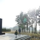 비자림빌리지3 이미지