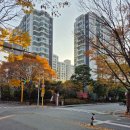 분당삼호공인중개사사무소 | 분당 아름마을 건영,한성,태영아파트 소개 + @