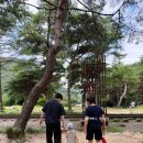 석현산업 | 문경 아이와 가볼만한곳 진남교 문경오미자테마터널 실내 장소 7월 후기