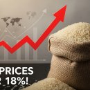 유신종합유통
(유신주유소) | 쌀값 18% 폭등! 1월 소비자물가 상승 원인과 절약법