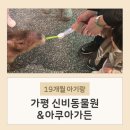 19개월 아기랑 가평 여행 신비동물원 & 아쿠아가든 다녀온 후기