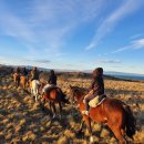 유용근 | 19년 04월 12일 217차 남미 리얼배낭 31일 인솔자 후기- 페페