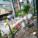 강남대로69길 10 이미지