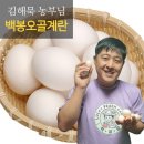 행운유정란 이미지