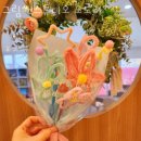 오로라스튜디오 이미지