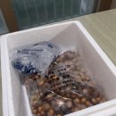 은행농산물 | 강천골 농원 냉장 깐은행 대용량 구매 후기