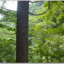 선녀탕집 이미지