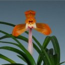 (주)금화 이미지