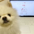 로얄케어클럽 이미지