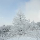 대구3040 산악회 제 5차 2014년 1월 11일 둘째 토요 산행 - 정선 함백산 이미지