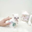 멍멍개야 이미지