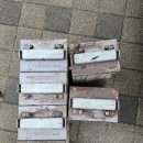 늘푸른사업단 이미지