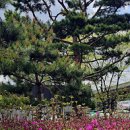 정다운휴게소