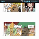 버드리PC 이미지