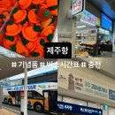 당근약국 | 제주항 국제여객터미널 버스시간표 기념품 약국 충전 퀸제누비아