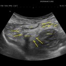 우리의원 이미지