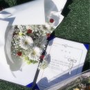 장덕리 7-7현대연구소 후문 | 2425, 겨울 모음