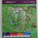 포즈티브 | 정선 하이원리조트 마운틴콘도 디럭스룸 : 내부 컨디션, 전망, 조식 후기