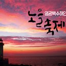 노을 카카오 검색결과