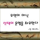 우연참 이미지