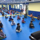 용인대스카이태권도 이미지