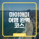 (주)아르트란 | 마이애미 여행 갈만한 코스 추천은?