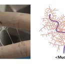 도움약국 이미지