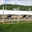 장수승마로 이미지