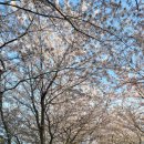 여수가족생활낚시터 이미지