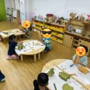소나무유치원 | [인천 전지역] 찾아가는 유치원 목공수업 출강 | 식물상자 만들기 후기