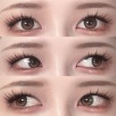 365 PC | 앤365 제로턴 안도라 초코 먼슬리 렌즈 렌즈링크 픽업 후기