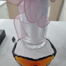 아이씨옵틱스 이미지