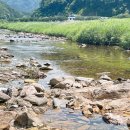 산림조합화장실 | 가평 오토캠핑장 오샤캠핑장 후기 - 계곡과 힐링의 완벽한 조합