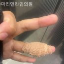 마리앤라인의원 이미지