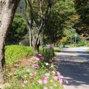 산아래물가에서 이미지