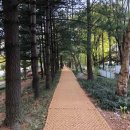 선일도시정비 네이버블로그