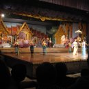 코끼리 관광농원 이미지